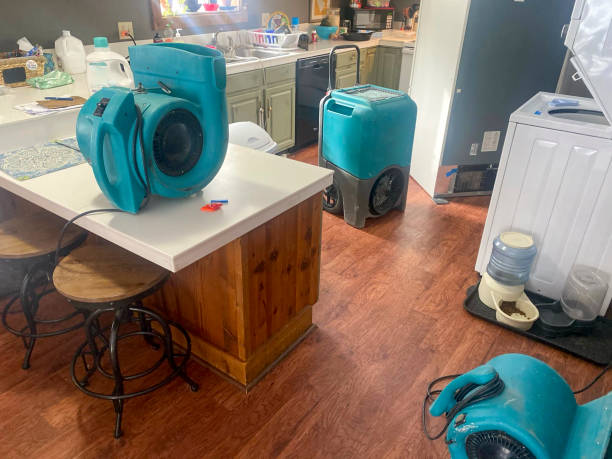 Best Flood damage cleanup  in Clinton, SC