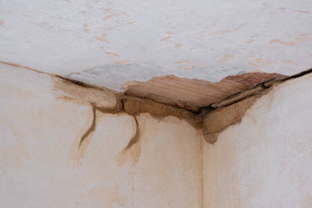 Best Fire Damage Restoration  in Clinton, SC