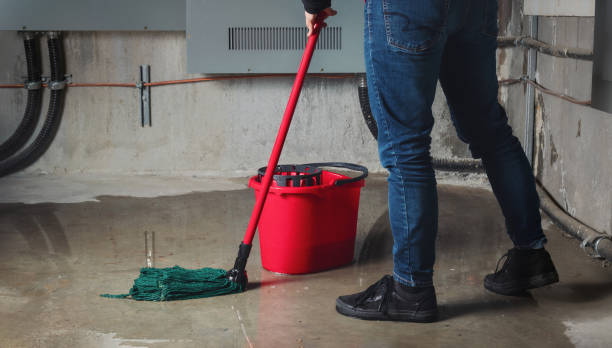 Best Water damage restoration near me  in Clinton, SC