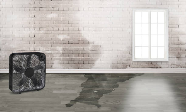 Best Commercial water damage restoration  in Clinton, SC